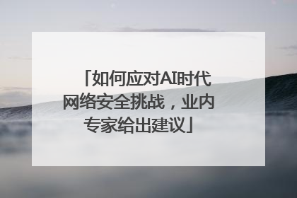 如何应对AI时代网络安全挑战，业内专家给出建议