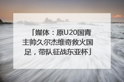 媒体：原U20国青主帅久尔杰维奇救火国足，带队征战东亚杯