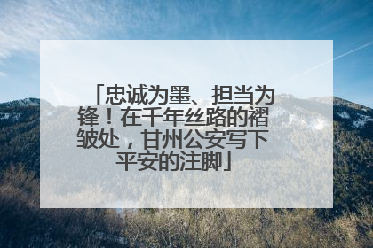 忠诚为墨、担当为锋！在千年丝路的褶皱处，甘州公安写下平安的注脚