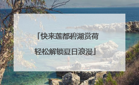 快来莲都碧湖赏荷 轻松解锁夏日浪漫
