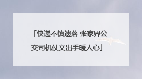 快递不慎遗落 张家界公交司机仗义出手暖人心