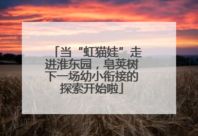 当“虹猫娃”走进淮东园，皂荚树下一场幼小衔接的探索开始啦