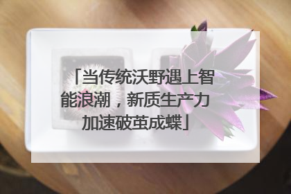 当传统沃野遇上智能浪潮，新质生产力加速破茧成蝶