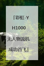 彩虹-YH1000无人物流机成功首飞