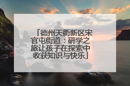 德州天衢新区宋官屯街道：研学之旅让孩子在探索中收获知识与快乐