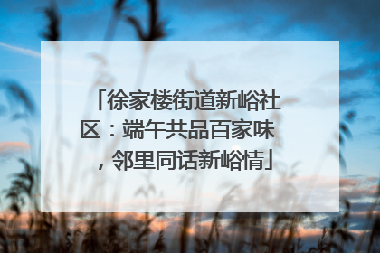 徐家楼街道新峪社区：端午共品百家味，邻里同话新峪情