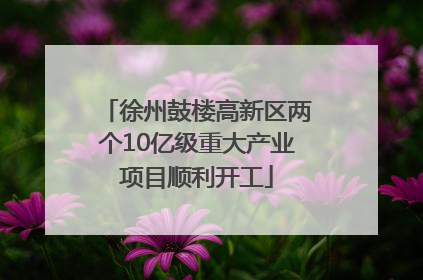 徐州鼓楼高新区两个10亿级重大产业项目顺利开工
