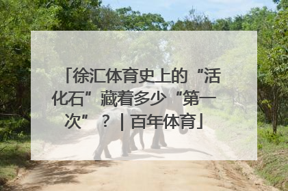 徐汇体育史上的“活化石”藏着多少“第一次”？｜百年体育