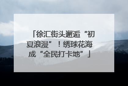 徐汇街头邂逅“初夏浪漫”！绣球花海成“全民打卡地”
