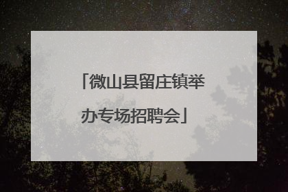 微山县留庄镇举办专场招聘会