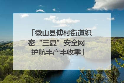 微山县傅村街道织密“三夏”安全网 护航丰产丰收季