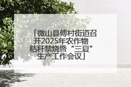 微山县傅村街道召开2025年农作物秸秆禁烧暨“三夏”生产工作会议