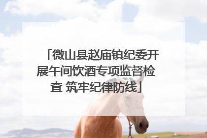 微山县赵庙镇纪委开展午间饮酒专项监督检查 筑牢纪律防线