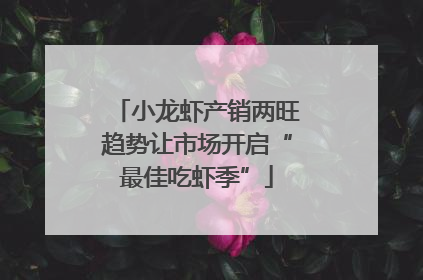 小龙虾产销两旺趋势让市场开启“最佳吃虾季”