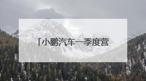 小鹏汽车一季度营收增1.4倍：预期今年销量翻倍，四季度实现盈利