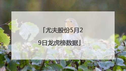 尤夫股份5月29日龙虎榜数据