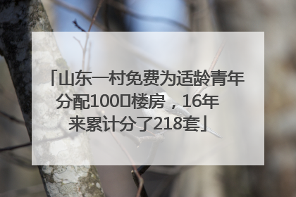 山东一村免费为适龄青年分配100㎡楼房，16年来累计分了218套