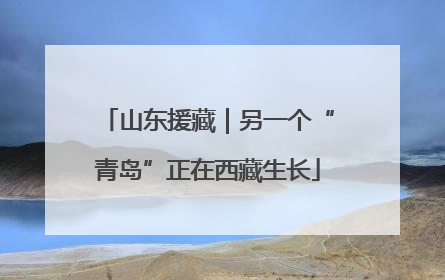 山东援藏｜另一个“青岛”正在西藏生长