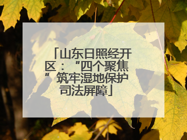 山东日照经开区：“四个聚焦”筑牢湿地保护司法屏障