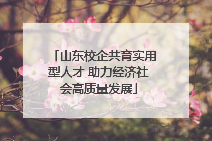 山东校企共育实用型人才 助力经济社会高质量发展