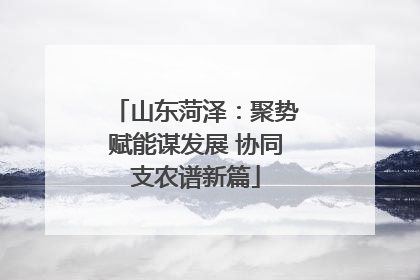 山东菏泽：聚势赋能谋发展 协同支农谱新篇