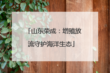 山东荣成：增殖放流守护海洋生态
