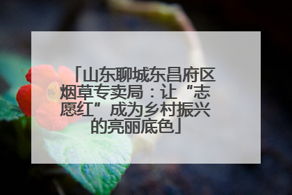 山东聊城东昌府区烟草专卖局：让“志愿红”成为乡村振兴的亮丽底色