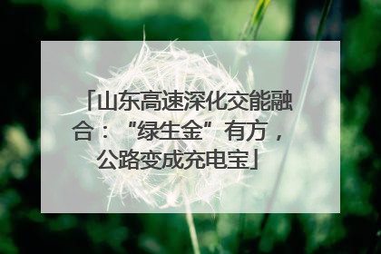 山东高速深化交能融合：“绿生金”有方，公路变成充电宝