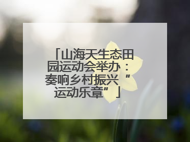 山海天生态田园运动会举办：奏响乡村振兴“运动乐章”