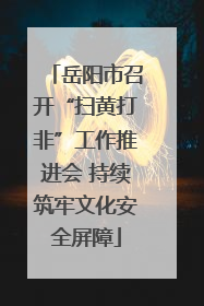 岳阳市召开“扫黄打非”工作推进会 持续筑牢文化安全屏障