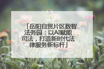 岳阳自贸片区数智法务园：以AI赋能司法，打造新时代法律服务新标杆