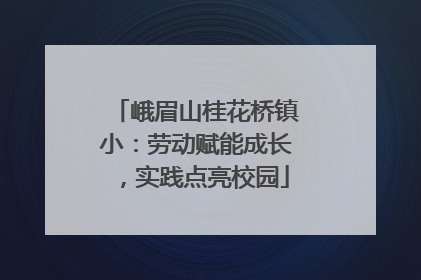 峨眉山桂花桥镇小：劳动赋能成长，实践点亮校园
