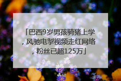 巴西9岁男孩骑猪上学，风驰电掣视频走红网络，粉丝已超125万