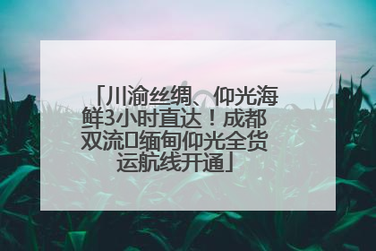 川渝丝绸、仰光海鲜3小时直达！成都双流⇌缅甸仰光全货运航线开通