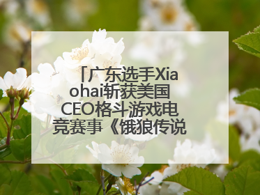 广东选手Xiaohai斩获美国CEO格斗游戏电竞赛事《饿狼传说》项目冠军