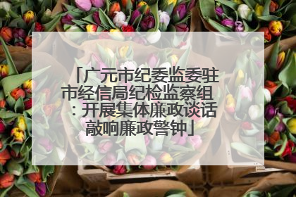 广元市纪委监委驻市经信局纪检监察组：开展集体廉政谈话 敲响廉政警钟