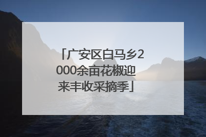 广安区白马乡2000余亩花椒迎来丰收采摘季