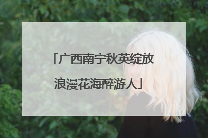 广西南宁秋英绽放 浪漫花海醉游人