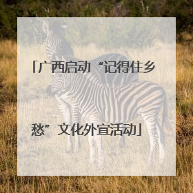 广西启动“记得住乡愁”文化外宣活动