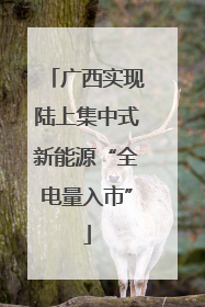 广西实现陆上集中式新能源“全电量入市”