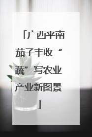 广西平南茄子丰收“蔬”写农业产业新图景