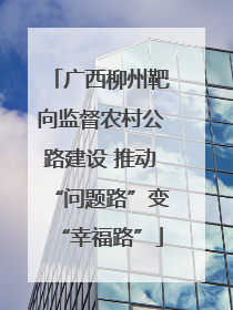 广西柳州靶向监督农村公路建设 推动“问题路”变“幸福路”