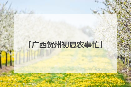广西贺州初夏农事忙