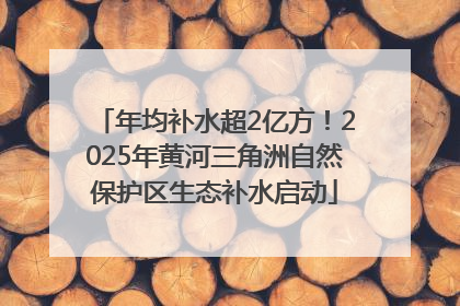 年均补水超2亿方！2025年黄河三角洲自然保护区生态补水启动
