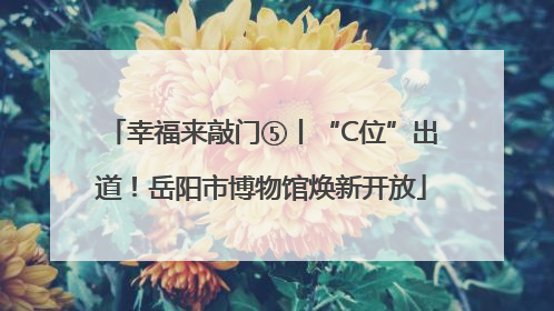 幸福来敲门⑤丨“C位”出道！岳阳市博物馆焕新开放