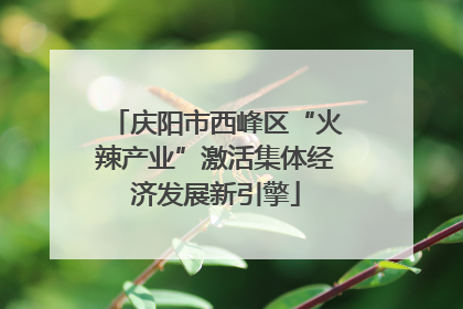 庆阳市西峰区“火辣产业”激活集体经济发展新引擎