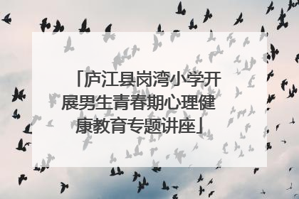 庐江县岗湾小学开展男生青春期心理健康教育专题讲座