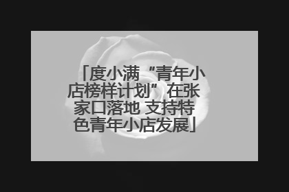 度小满“青年小店榜样计划”在张家口落地 支持特色青年小店发展
