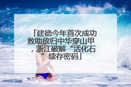 建德今年首次成功救助放归中华穿山甲，浙江破解“活化石”续存密码