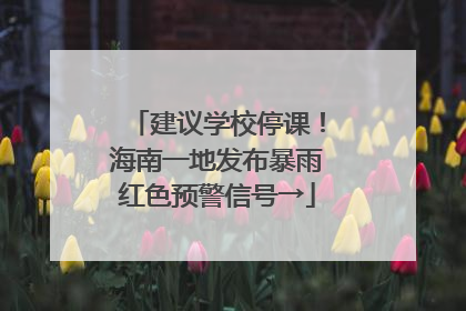 建议学校停课！海南一地发布暴雨红色预警信号→